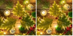 The Christmas Workshop 73999 20 Micro LED Pom Pom String Lights/Battery Operated Christmas Lights/Red, Green & White Colours/Warm White LEDs (Pack of 2)
