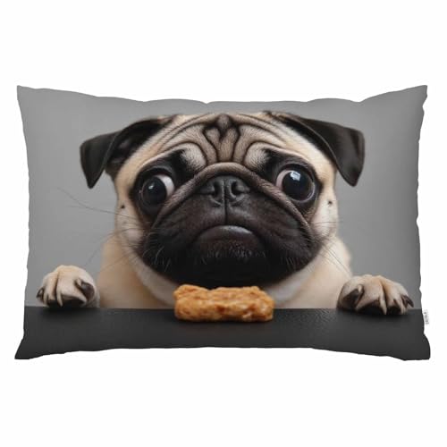 EKOBLA Decorative Throw Pillow Case Cushion Cover for Couch Bed Queen 20x30 Inch