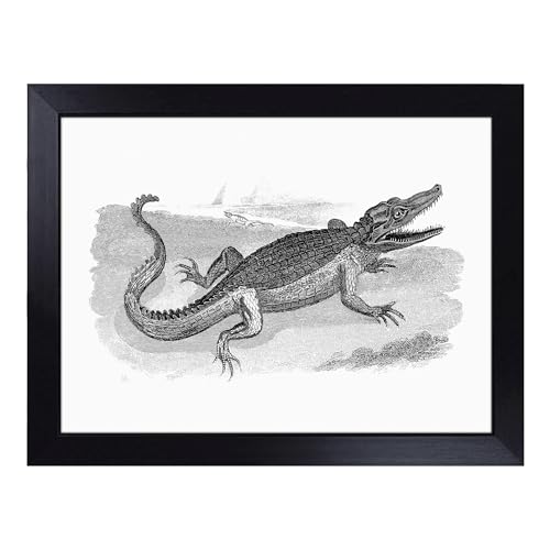 Lap Tray with Bean Bag Cushion, Crocodile In Black & White By George Shaw - Handmade in the UK, Raised Wooden Edge, Padded Cushion, Heat-Resistant Wipe-Clean Surface, for Meals, Laptops and Crafts
