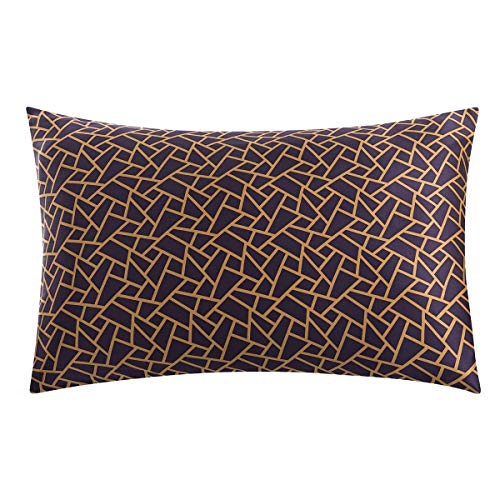 SLPBABY Silk Pillowcase for Hair and Skin with Hidden Zipper Print (King, Pattern26)