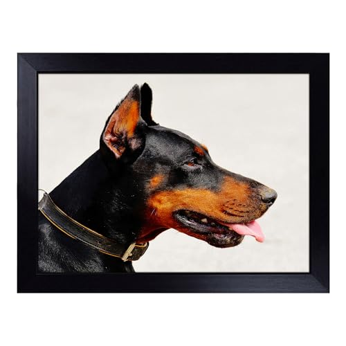 Lap Tray with Bean Bag Cushion, Doberman Dog Art - Handmade in the UK, Raised Wooden Edge, Padded Cushion, Heat-Resistant Wipe-Clean Surface, for Meals, Laptops and Crafts