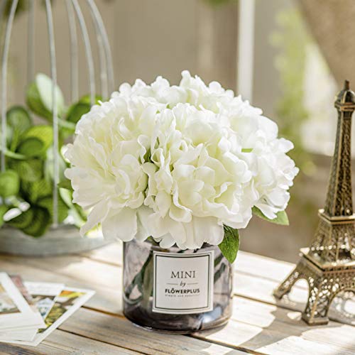 Moomass Artificial Hydrangea and Glass vase Decoration, Ins Style Artificial Flower Glass Bottle Set