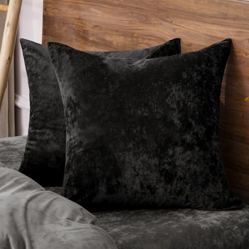 "PHF Truly Velvet Throw Pillow Covers, 24""x24"", No Insert, 2 Pack Color Gradient Cushion Covers, Ultra Soft Cozy Square Covers Shell for Luxurious Home Decorative, No Shedding, No Pilling, Black"