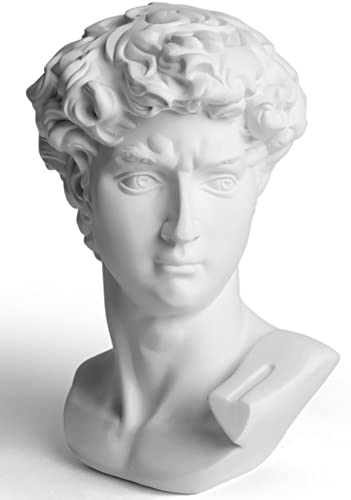 "Garwor David Statue Head Sculptures 6"" Michelangelo David Bust Figurine Classic Greek Roman Bust Home Decor Office Decor"