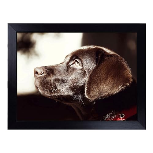 Lap Tray with Bean Bag Cushion, Chocolate Labrador Dog - Handmade in the UK, Raised Wooden Edge, Padded Cushion, Heat-Resistant Wipe-Clean Surface, for Meals, Laptops and Crafts