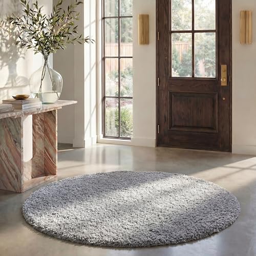 Safavieh August Shag Collection Shaggy Rug for Living Room Dining Room Bedroom Short Pile Silver 4ft x 4ft