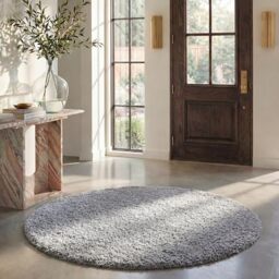 Safavieh August Shag Collection Shaggy Rug for Living Room Dining Room Bedroom Short Pile Silver 4ft x 4ft