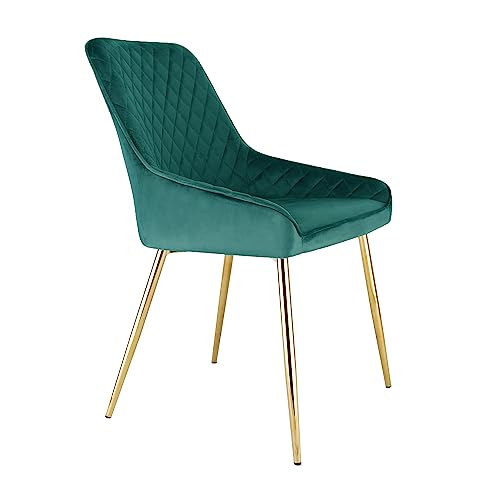 RayGar Hamilton Accent Dining Chair with High Back Armchair With Metal Tube Legs (Green)