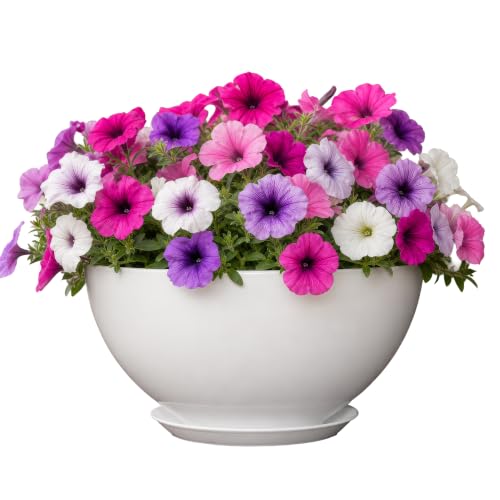 "Classic Home and Garden Planter, Resin, Stark White, Rosie 10"""