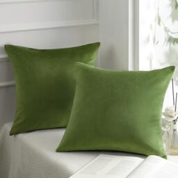 Phantoscope 2 Pack Decorative Velvet Throw Pillow Covers Soft Solid Square Cushion Covers for Sofa Couch Green 20x20 Inch 50x50cm