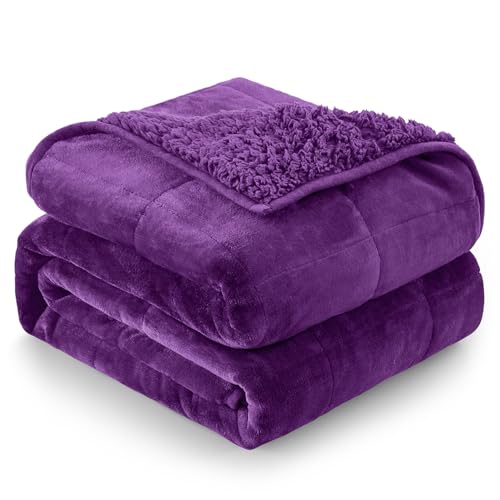 Cottonblue Weighted Blanket 15 lbs Queen Size, Flannel Shaggy Sherpa Weighted Blanket for Adults Comfortable Weighted Blankets for Calming and Relax, Bed Sofa Heavy Blankets, 60x80 inches, Purple