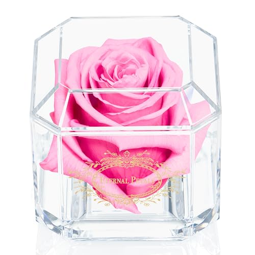 100% Real Rose That Lasts A Year - Single Pink Rose in Box - Unique Birthday Gift