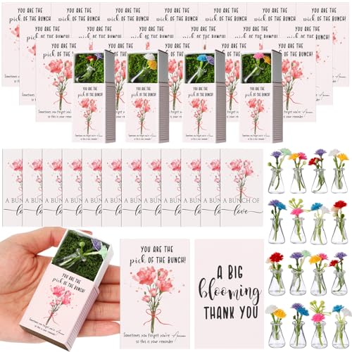Emotional Support Appreciation Gifts Bulk Mini Bud Vase with Flowers Positive Box Breathing Gifts Back to School Desk Pets for Students Teachers Women Employee Wildflower Party Decorations