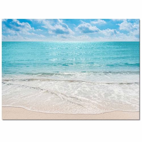 Gsypo Summer Indoor Modern Contemporary Area Rug, Tropical Ocean Beach Sea Water Ultra Soft Non-Shedding Carpet Floor Mats Stain Resistant Living Room Bedroom Area Rugs Washable 2'x3'