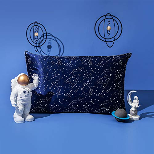 THXSILK Silk Pillowcase for Hair and Skin, 100% Mulberry Silk with Hidden Zipper, 19 Momme Hypoallergenic, Constellation Print Pillow Cover, Queen