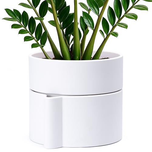 Phoenix Vine 8 Inch Self-Watering Planter Pot with Terracotta Insert, Deep Water Reservoir, and Ceramic-Alike BPA-Free Plastic Planter Pot for Plant, Modern Planter for Houseplants, White, 53-A-T-1