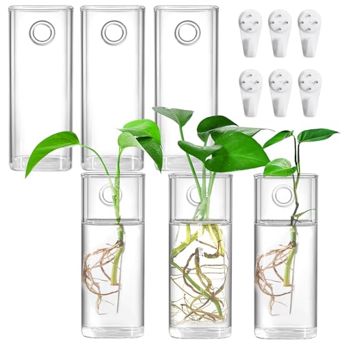 "Fasmov 6 Pack Wall Hanging Glass Planters, Plant Terrarium, Air Plants, Succulents, Flowers, Modern, Transparent, Square, Both Indoor & Outdoor, 2.36"" L x 2.36"" W x 6"" H"