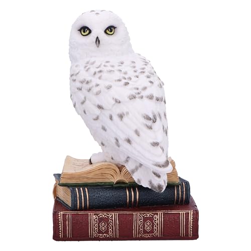 Nemesis Now Library of Wisdom Figurine 17cm, White, Expertly Hand-Painted - Resin, White Owl on Books Ornament, Fantasy Books Book Shelf Display Piece, Cast in the Finest Resin