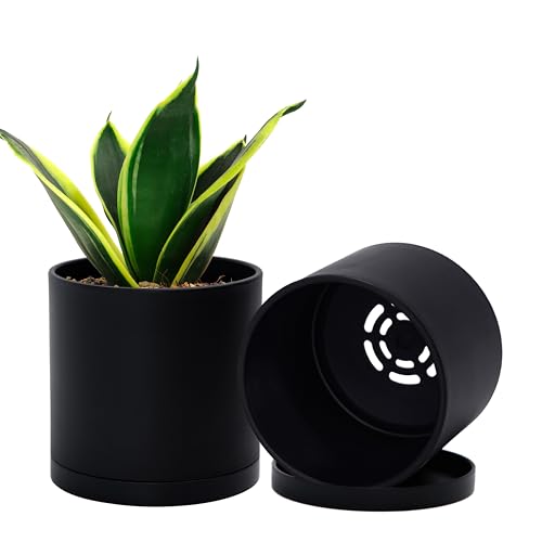 D'vine Dev 2-Pack Black Plastic Planters with Saucers, 4.5 in, 74-Y-F-1 - Lightweight Durable Build, Matte Finish, Cylindrical Shape, Efficient Drainage, Detachable Saucer, Minimalist Modern Style