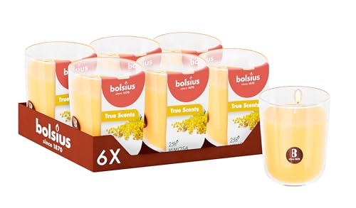 Bolsius - Mimosa - Yellow - Set of 6 Scented Candles - 8 x 7 cm - Burn time: 25 Hours - with Natural extracts - Natural Vegetable Wax - Palm Oil Free
