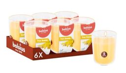 Bolsius - Mimosa - Yellow - Set of 6 Scented Candles - 8 x 7 cm - Burn time: 25 Hours - with Natural extracts - Natural Vegetable Wax - Palm Oil Free