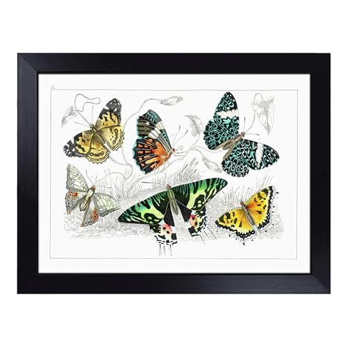 Lap Tray with Bean Bag Cushion, Assortment Of Butterflies Xl By Oliver - Handmade in the UK, Raised Wooden Edge, Padded Cushion, Heat-Resistant Wipe-Clean Surface, for Meals, Laptops and Crafts