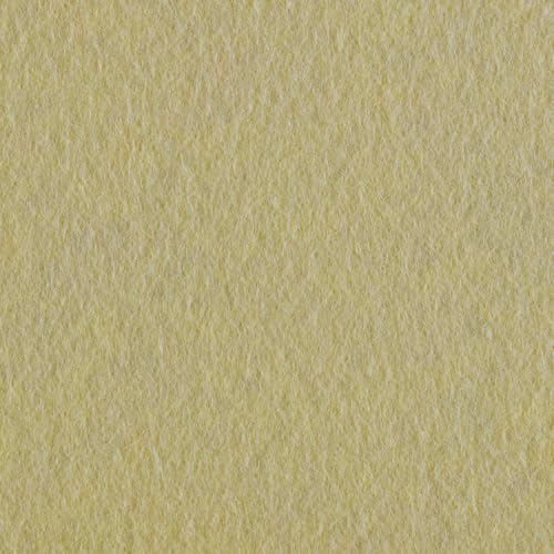 Felt Fabric Sheets 10-Piece, 20 cm Length x 30 cm Width x 0.1 cm Thickness, Ecru