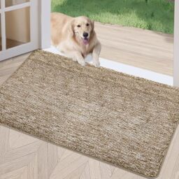 Amazon Rug For Dogs Paws Fun Dog Paw Print Rugs Doormat, Non-Slip