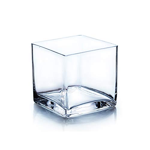 "WGV Cube Glass Vase, Candle Holder, 5""x5""x5"", [Bulk & Size Options Available] Clear Elegant Floral Accent Container Planter Terrarium Wedding Party Ceremony Home Decor, 1 Piece"