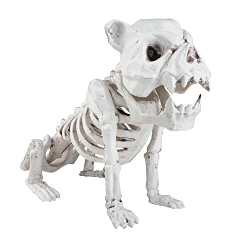 "SCS Direct French Bulldog Dog Halloween Skeleton (2 Pack) - Large 10"" Long - Weather Resistant Yard Decorations w Movable Jaws - Great Graveyard Prop for Party Decor and Indoor/Outdoor Use"