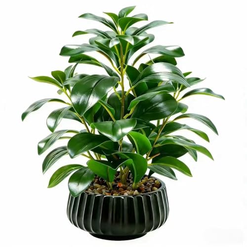 "Ewtogift 16"" Artificial Peperomia Potted Plant in Black Ribbed Ceramic Planter Realistic Faux Green Leaves Tabletop Branches for Indoor Home Office Living Room Shelf Desk Decor"