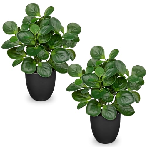 "14.5"" Artificial Plants Indoor Home Decor, Fake Potted Silk Plants for Shelves Living Room Decor, Small Artificial Office Desk Plants in Pots, Faux Peperomia Hope Tropical House Plant, Sets of 2"
