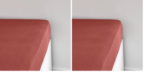 TODAY Essential Jersey Fitted Sheet 90 x 190 cm 100% Cotton Plain, Terracotta (Pack of 2)
