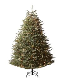 Pre-Lit Foxtail Pine Christmas Tree, 550 Warm White LED Lights
