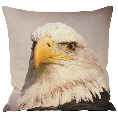 "Riva Paoletti Animal Eagle Cushion Cover - Animal Print Design - Faux Suede - Hidden Zip Closure - Machine Washable - 100% Polyester - 45 x 45cm (18"" x 18"" inches) - Designed in the UK"