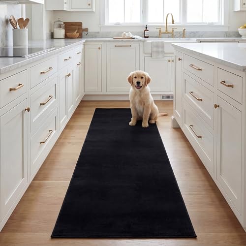 Safavieh Boho Rug Living Room, Dining Room, Bedroom - Machine Washable and Non Slip - Loft Collection, Short Pile, in Black, 155 X 228 cm