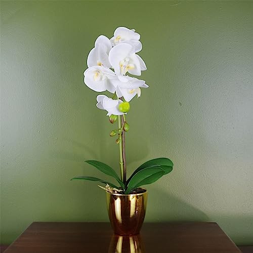 Leaf 46cm Artificial Orchid White/Gold