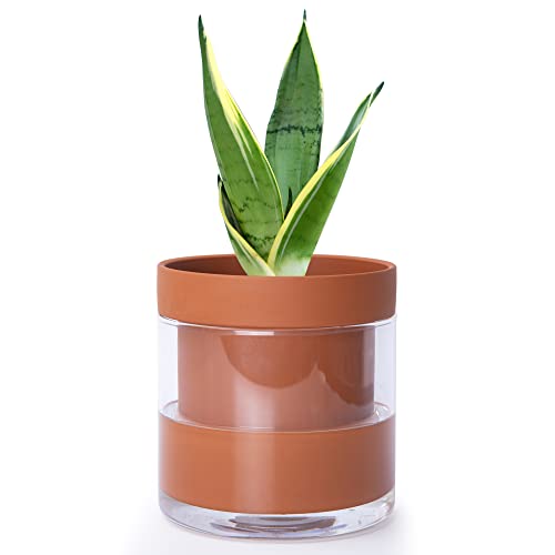 Phoenix Vine 6 Inch Self Watering Planter Pot, Terracotta Clay Pot with Glass Reservoir for Indoor Plants, Herbs, Flowers, Set of 1, 52-A-F-1