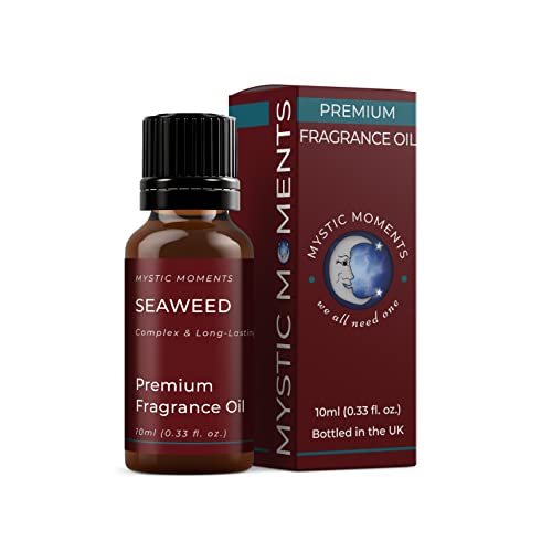 Mystic Moments - Seaweed Fragrance Oil - 10ml - Seaweed notes create a fresh marine scent for candles, soaps, wax melts and diffusers.