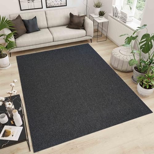Simple Low Pile Rugs Living Room – Modern Tufted Area Rugs for Living Room with Felt Backing Dark Grey 120x170 cm