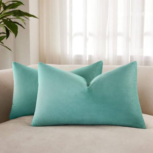 JUSPURBET 16x24 Decorative Velvet Throw Pillow Covers Set of 2,Teal Green - Soft Solid Decorative Pillow Covers,for Couch Sofa Bed Chair Living Room Bedroom,Luxury Modern Home Decor,Invisible Zipper