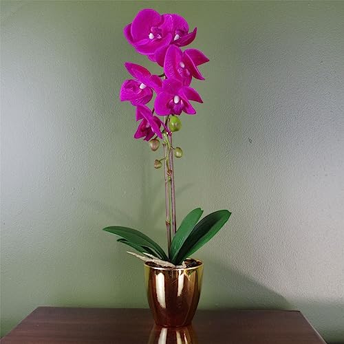Leaf 46cm Artificial Orchid Dark Pink/Gold