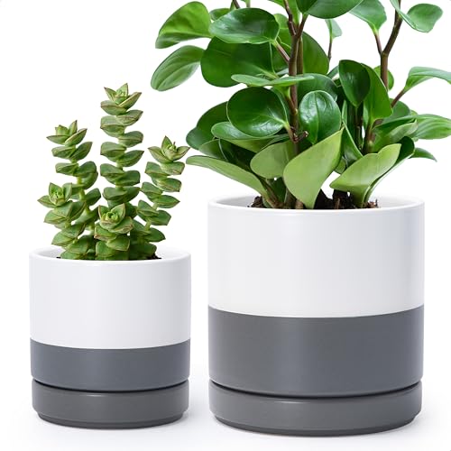 D'vine Dev 4.6 Inch & 6 Inch Ceramic Planter Pots for Plants with Drainage Hole and Saucer, Small Plant Pots Set, White/Speckled Grey, 94-G-S-6