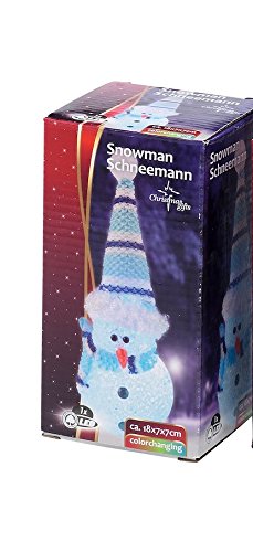 Christmas Gift 49038 Poster Christmas Lighting Snowman, 1 LED 3xLR41