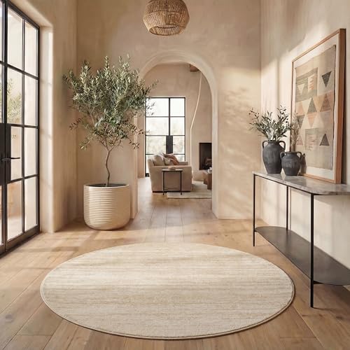 Safavieh Modern Rug for Living Room, Dining Room, Bedroom - Adirondack Collection, Short Pile, in Champagne and Cream, 67 X 213 cm
