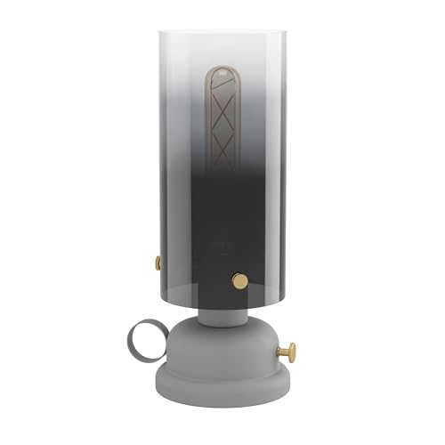 Eglo LED Table Lamp Gargrave, Light in Oil Design, Living Room Made of Metal Grey and Brass with Smoke Glass, Bedside E27 Socket