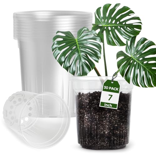 Bluepro 1 Gallon Reinforced Clear Nursery Pots with Drainage Hole 30 Packs, 6.7 Inch Transparent Pots Plastic Plant Pot Seedling Planter Seed Starter Pots Flower Pot for Cuttings and TransplantingQ
