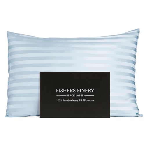 Fishers Finery 30mm 100% Pure Mulberry Silk Pillowcase, Good Housekeeping Quality Tested (Blue Stripe, Queen)