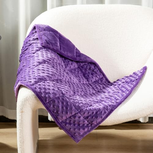 "Alomidds Weighted Lap Blanket 7lbs, Cozy Luxury Breathable Weighted Blanket for Adults, Weighted Lap Pad for Travel, Relaxation, Sleeping, Purple, 29"" x 24"""
