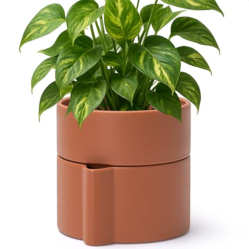 Phoenix Vine 6.5 Inch Self-Watering Planter Pot with Terracotta Insert, Deep Water Reservoir, and Ceramic-Alike BPA-Free Plastic Pot for Plant, Modern Planter for Houseplants, Terracotta, 53-A-S-3